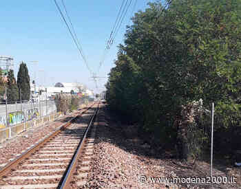 Domenica di potature lungo la linea ferroviaria Modena-Sassuolo - Modena 2000