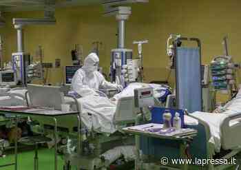 Covid Modena, report Ausl: 'Morta una donna di 105 anni' - La Pressa