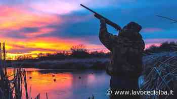 Coldiretti Cuneo: "Sulla caccia la Regione proroga e non risolve il problema alla radice" - LaVoceDiAlba.it