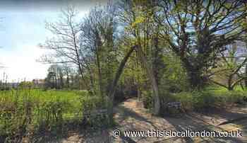 Planning Inspector rejects Whalebones development appeal