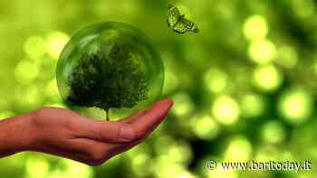A Bari 'Io scelgo il Pianeta- Festival della sostenibilità ambientale': Incontri, mostre, proiezioni e azioni sul territorio - BariToday
