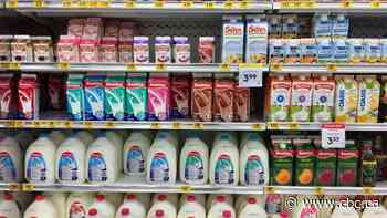 Milk, cheese prices could soon jump 10 to 15 per cent