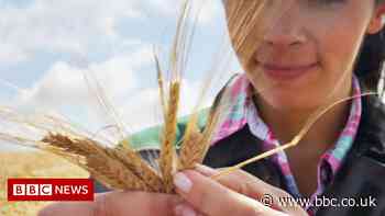 Inflation: Global food prices hit fresh 10-year high, UN says