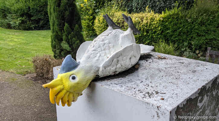 There’s a statue of a dead parrot in Greenwich