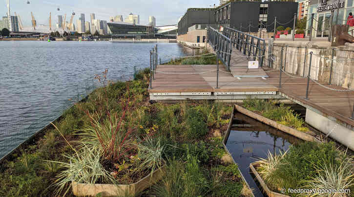 London’s Pocket Parks: Royal Docks floating garden