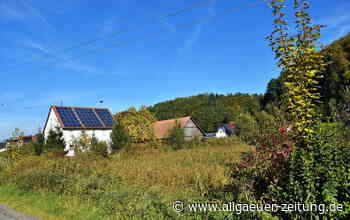 Der Fuggerweiher in Reichau bleibt weiter im Dornröschenschlaf - Allgäuer Zeitung