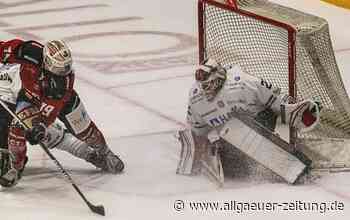 Zwei bärenstarke Gegner für den ECDC Memmingen - Allgäuer Zeitung