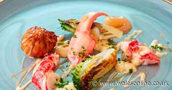 The nine restaurants named the best in Wales by the AA food guide - Wales Online
