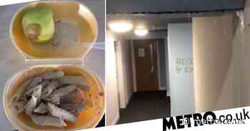 Asylum seeker reveals miserable food and hotels after landing in UK - Metro.co.uk