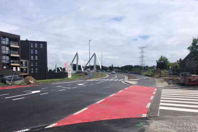 Vier jaar cel voor ernstig geweld op politieman in burger: “Hier se, flikske van de drugsbrigade”