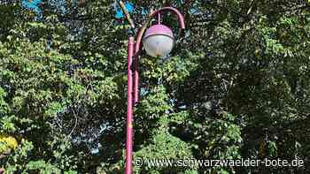 Debatte um Straßenbeleuchtung - Wird’s in Schiltach nachts bald zappenduster? - Schwarzwälder Bote