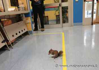 Un incontro speciale all'ospedale di Gallarate - MalpensaNews.it