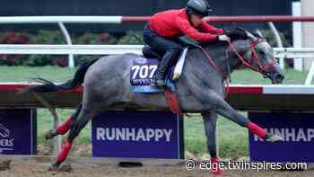 Breeders' Cup International Scouting Report: Jasper Great - BetAmerica Extra