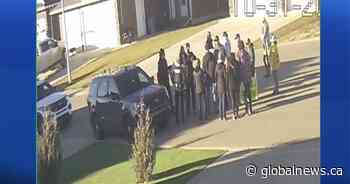 RCMP looking to identify people who left noose at Grande Prairie MLA Tracy Allard’s home