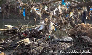 Campaigners call for action on ‘jaw-dropping’ amount of pollution in River Lea