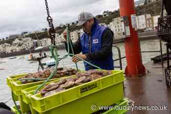 Lone French fisherman left adrift in UK-France fishing spat - Dudley News