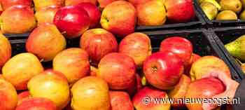 Fruittelers halen kwaliteitsvruchten binnen - NieuweOogst.nu