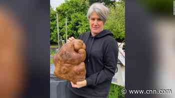 New Zealand couple accidentally grow a titanic tuber