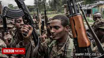 Ethiopia urges ex-soldiers to join fight against Tigray rebels