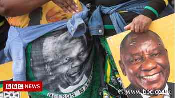South Africa municipal elections: Who are the winners and losers?