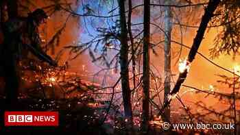2021: A year of wild weather