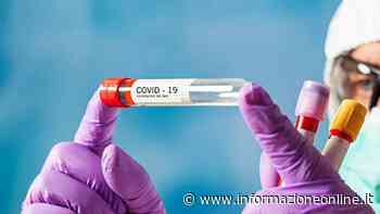 Coronavirus, il punto in provincia: Varese +6, Busto +13, Gallarate +1, Saronno +7 - InformazioneOnline.it