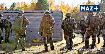 Lebensgefahr: Bundeswehr warnt Pilzsammler vor Betreten der Döberitzer Heide bei Potsdam - Märkische Allgemeine Zeitung