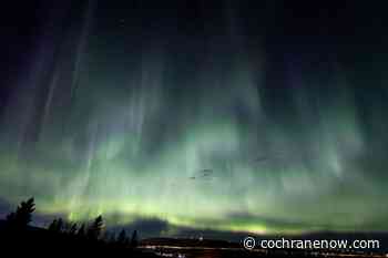 Cochranites treated to spectacular aurora show - CochraneNow.com