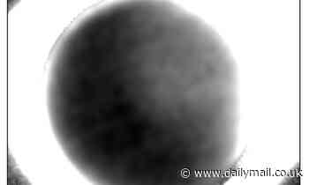 Scientists present the dark side of Pluto in new images