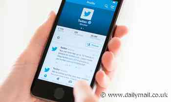 Twitter unveils new search button that makes it easier to search a single user's past tweets 