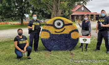 Fall Fest at Murphy's Farm in Alliston is back and better than ever - simcoe.com