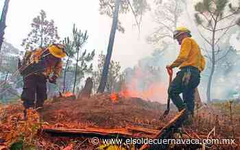 Morelos se prepara para los incendios forestales - El Sol de Cuernavaca