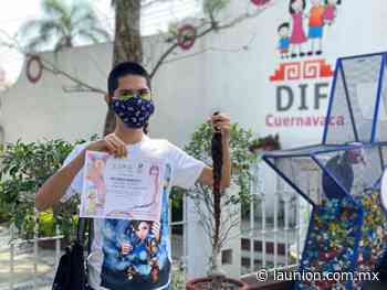 DIF Cuernavaca continúa recibiendo trenzas para pelucas oncológicas - Unión de Morelos