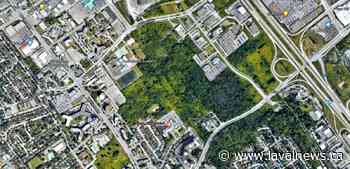 Poissant’s ‘Laval Citoyens’ pledges to build a 12,000-square metre skatepark - Laval News