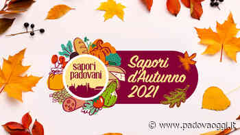 Sapori d’Autunno 2021, vendita diretta di prodotti del territorio e degustazioni in Prato della Valle - PadovaOggi