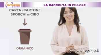 La raccolta in pillole - tvprato.it