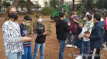 La scuola porta le api nel prato dell'Ilva - IlGiunco.net - IlGiunco.net