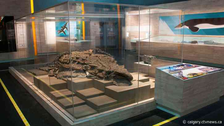 Alberta's Royal Tyrrell Museum celebrates 5 Guinness World Records for dinosaur skeleton collection
