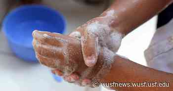 Coronavirus FAQ: It's cold and flu season — and COVID season! How do I stay unsick? - WUSF News