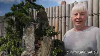 The Tasmanian gardener reuniting her great-aunt's beloved bonsai trees - ABC News