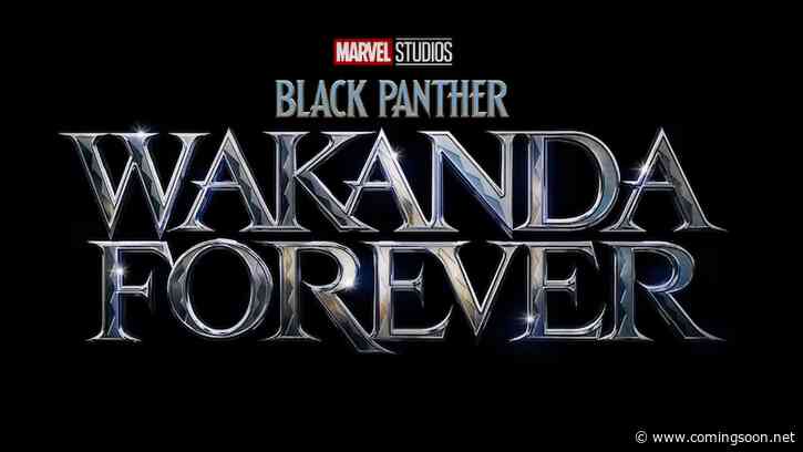 Black Panther: Wakanda Forever Production Shuts Down Due to Injury