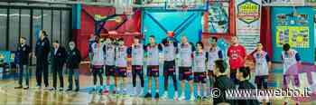 IOWEBBO - BASKET - CASSINO SI IMPONE SU FORMIA - ioWebbo
