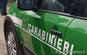 Controlli a Solofra e Volturara Irpina, denunciate 5 persone - Punto!