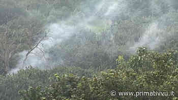 Mal'aria, proseguono gli sforamenti. Due centraline mobili per Solofra e Monotoro - Prima Tivvù