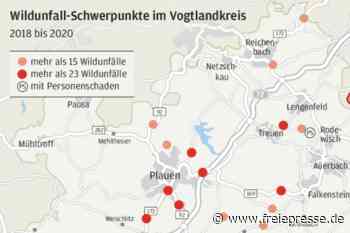 Wildunfälle: Das sind die Hotspots im Vogtlandkreis - Freie Presse