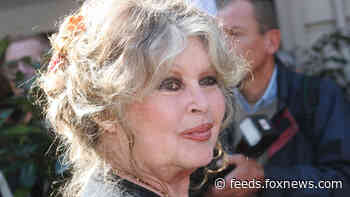 Brigitte Bardot fined by French court for calling La Reunion islanders ‘degenerate savages’