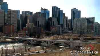 Alberta’s job rate drops back to below pre-COVID-19 levels