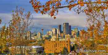15 things to do in Calgary this weekend: November 5 to 7 | Listed - Daily Hive