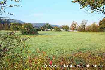 Steinen: Bauherr will Wirt selber auswählen - Verlagshaus Jaumann - www.verlagshaus-jaumann.de