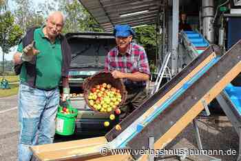 Steinen: Literweise leckerer Apfelsaft aus der eigenen Obsternte - Verlagshaus Jaumann - www.verlagshaus-jaumann.de